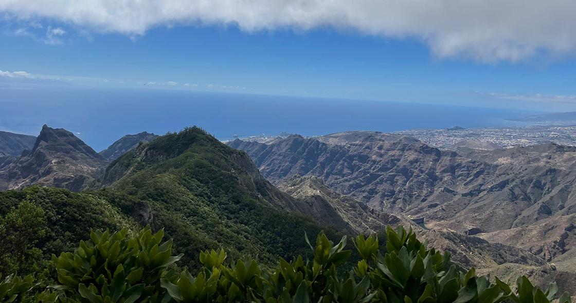 Discover the real Tenerife