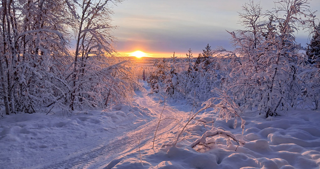 Lapland is for life, not just for Christmas!