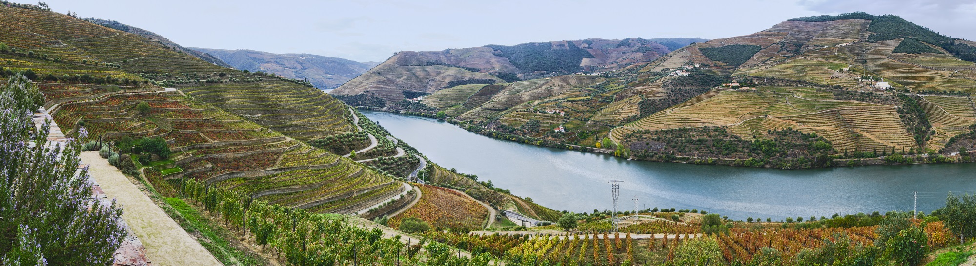 Porto And The Douro