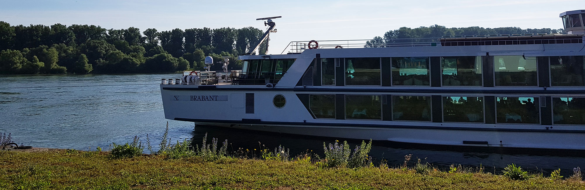 Relaxing On The Rhine