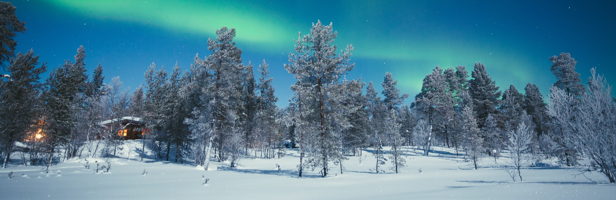 Searching For Santa But Finding So Much More