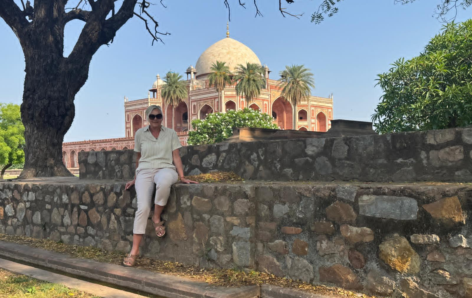 Tigers and temples: touring Rajasthan