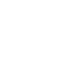 White stylized bug icon with six legs and two antennae on a transparent background.