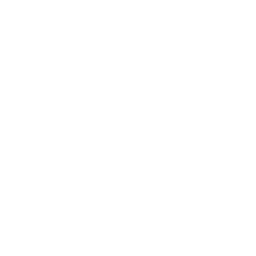 Icon of a document with a bar chart showing increasing columns.