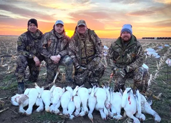 group of hunters with snow geese