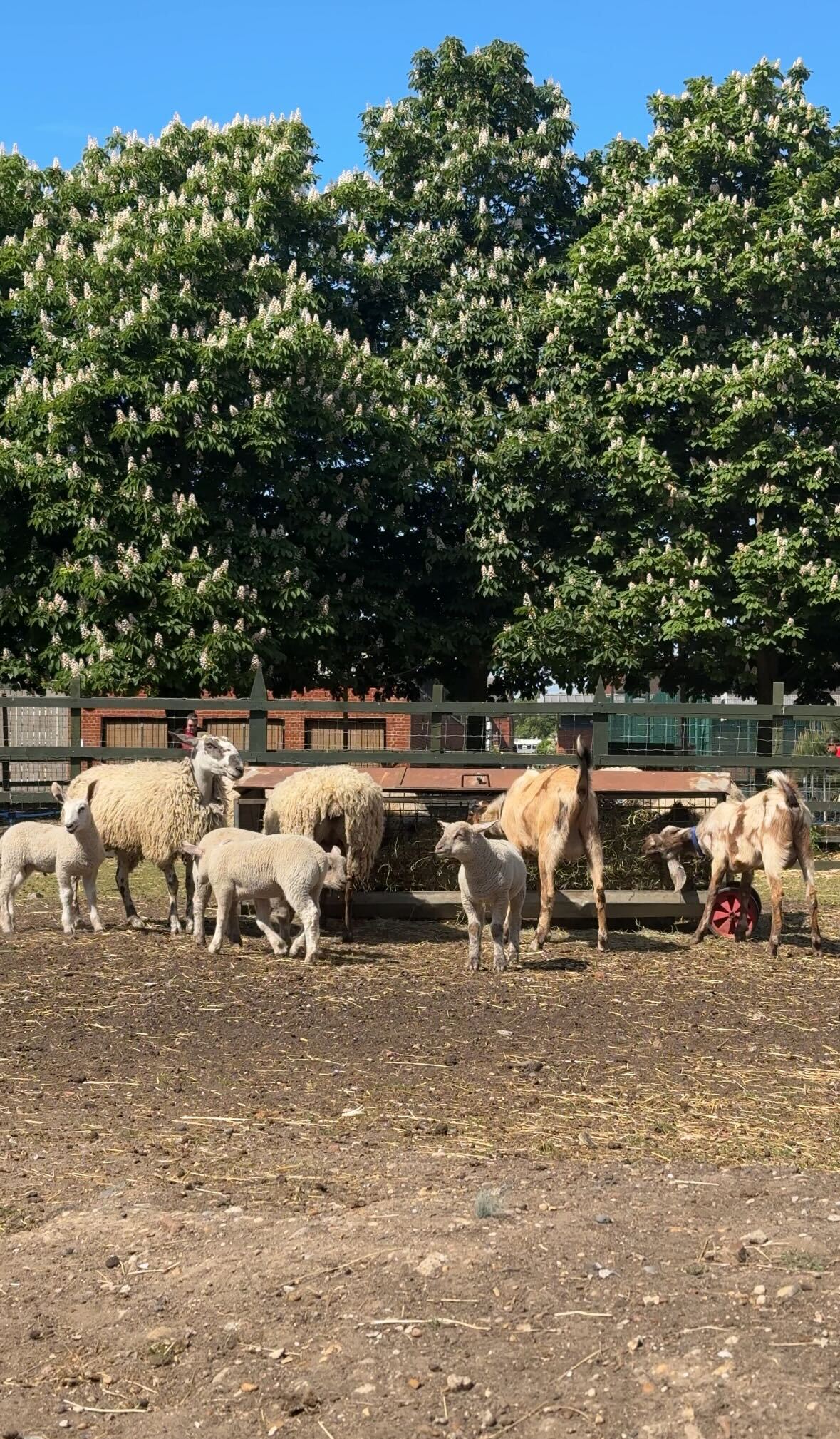 Down on the Farm at MEbig