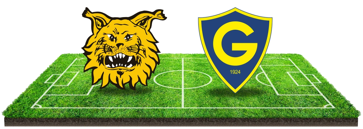 Voorspelling Ilves vs IF Gnistan (Veikkausliiga)!