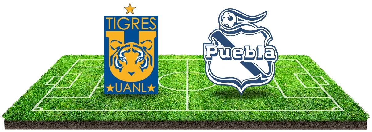 Tigres wint in eigen huis, maar houdt het beperkt!