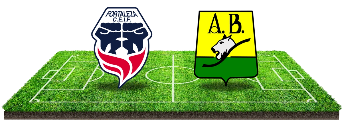 We reizen af naar Colombia voor de nachtkraker!