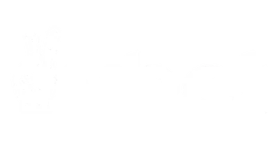 Vbet