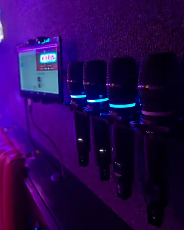 Karaoke Pod FL: The Ultimate Mobile Karaoke Experience for Bachelorette Parties in Central Florida