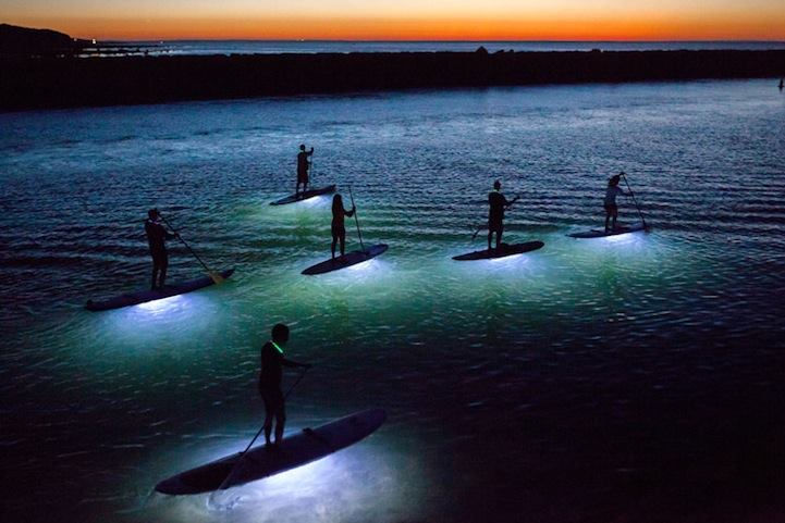 The Strawberry Splash Soiree: Denver's Most Festive Full Moon Paddle Experience