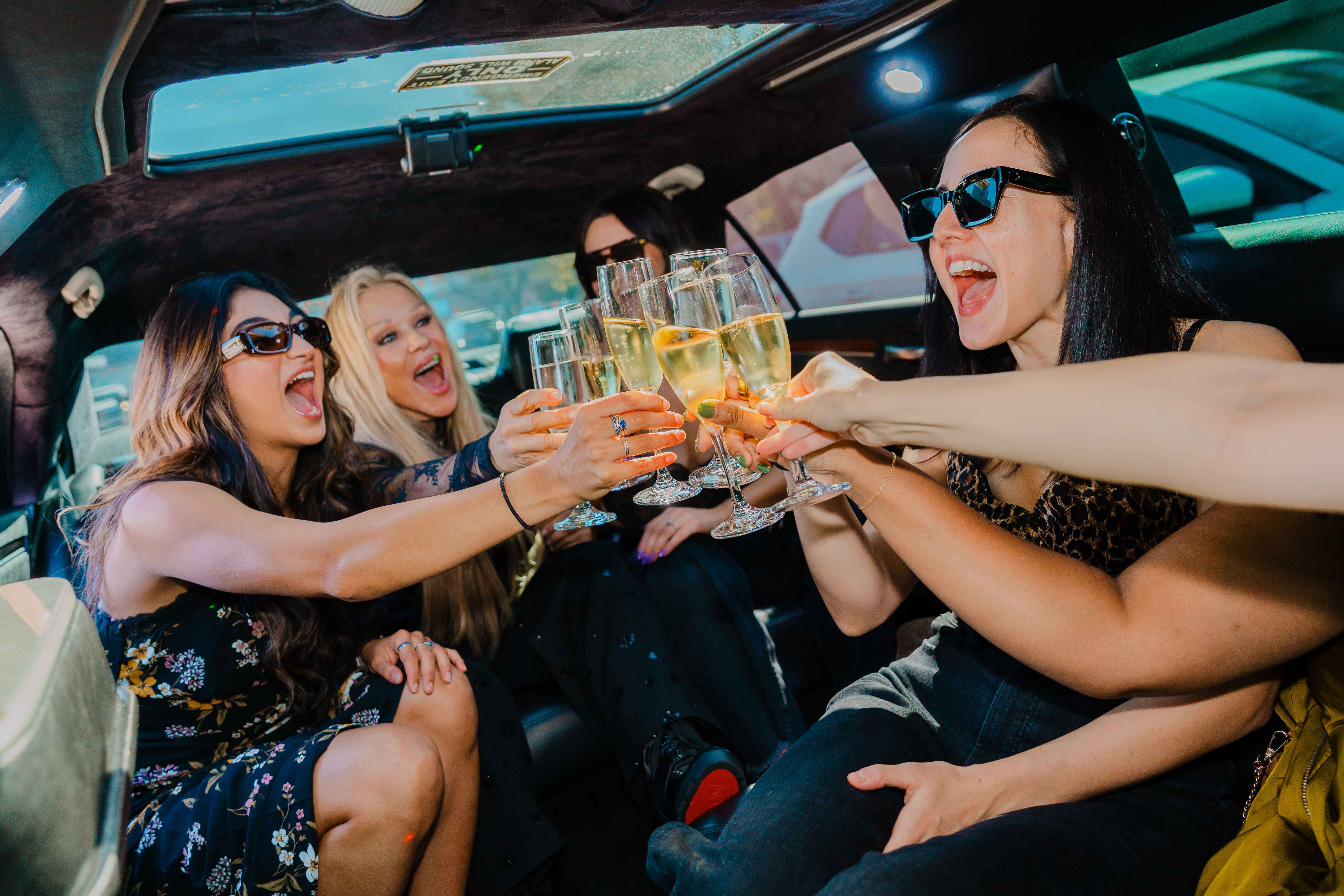 The Wine Country Tour Company That Does Everything But Drink For You