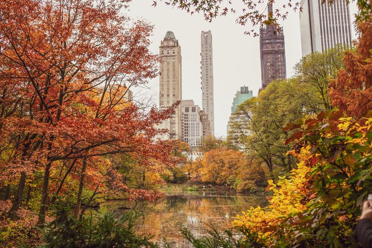 5 Fall Plans Worth Getting the Group Chat Together For