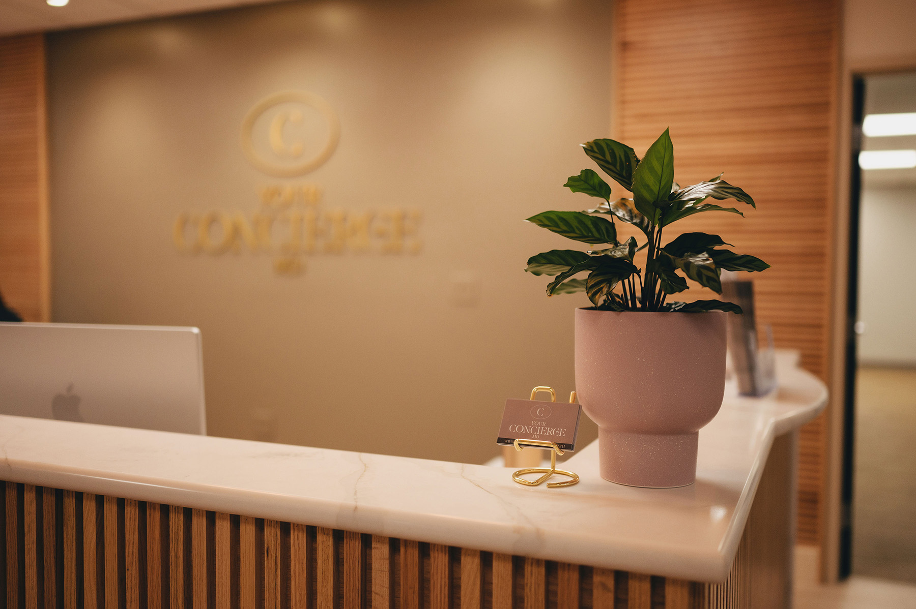 Reception desk with a potted plant, business cards, and a laptop in a modern office space.