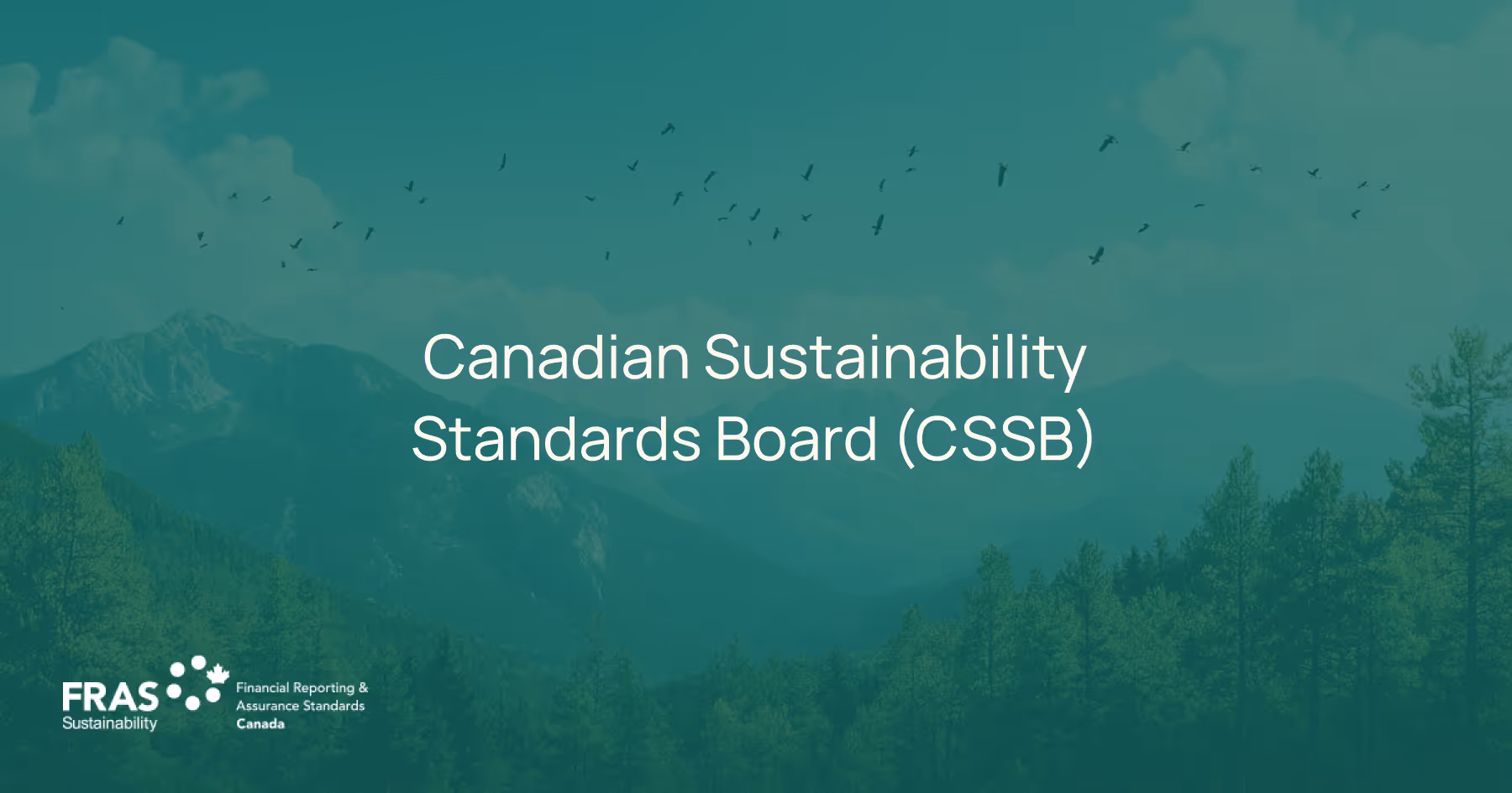 CSSB sets high-quality sustainability standards, guiding Canada in aligning with global practices. Voluntary till 2025. Transition aid for Scope 3.
