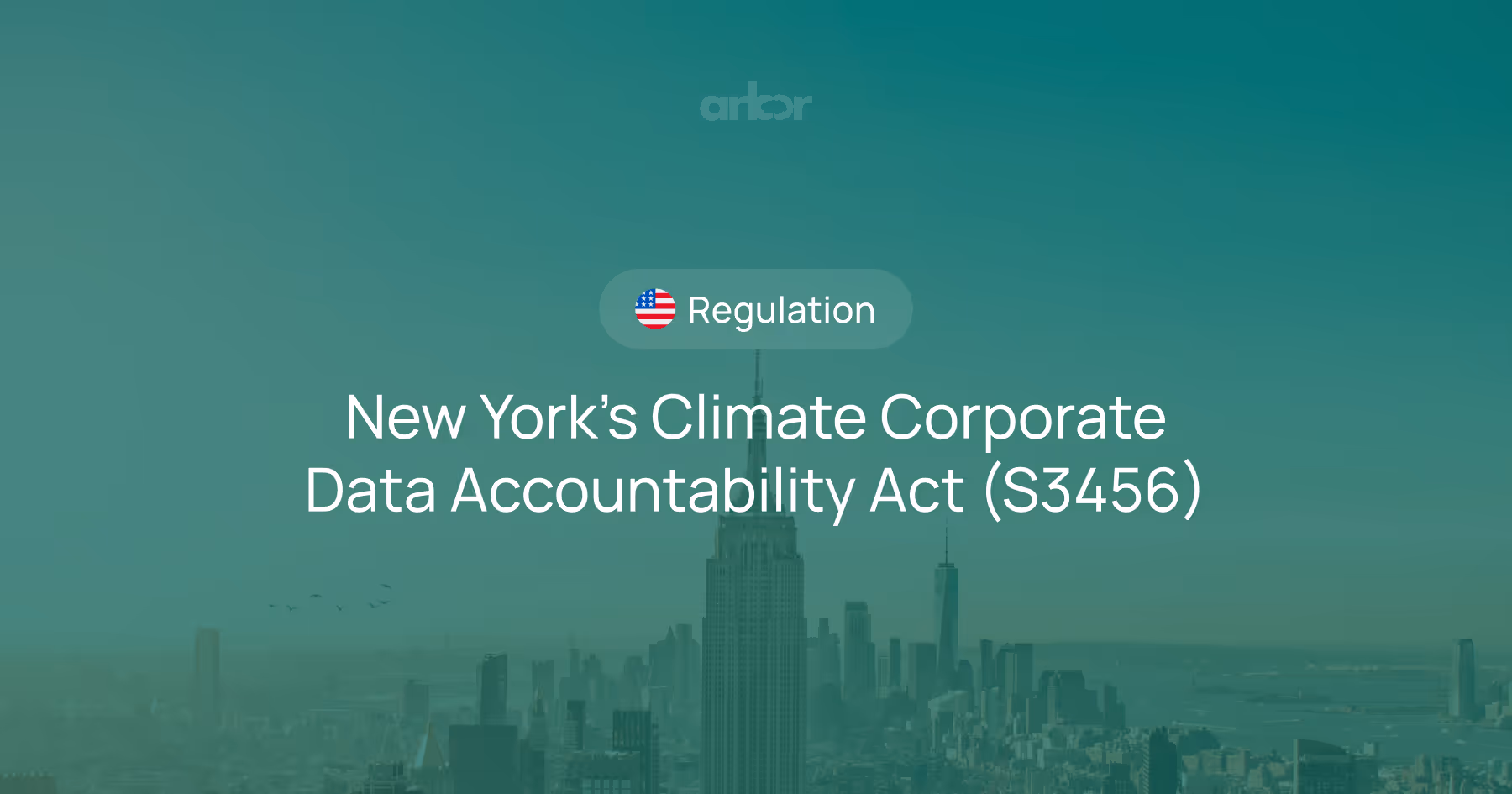 Learn about New York's Climate Corporate Data Accountability Act (S3456) and its impact on emission disclosures and compliance.