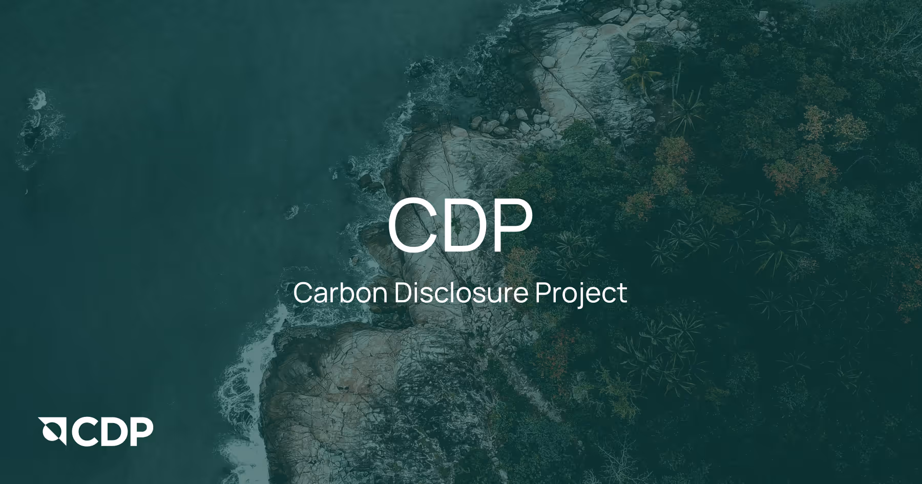 Learn about the Carbon Disclosure Project (CDP), who reports the requirements, and how Arbor can help streamline your climate disclosures.