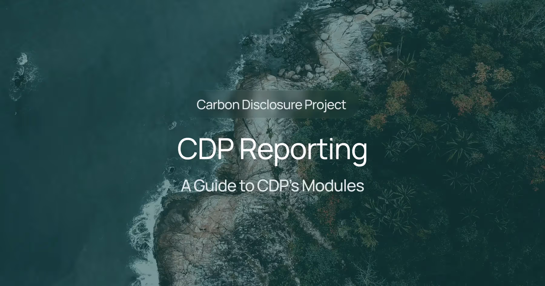 Master CDP reporting with our technical guide. Learn about integrated modules, emissions, targets, and more to ensure a comprehensive and effective disclosure.