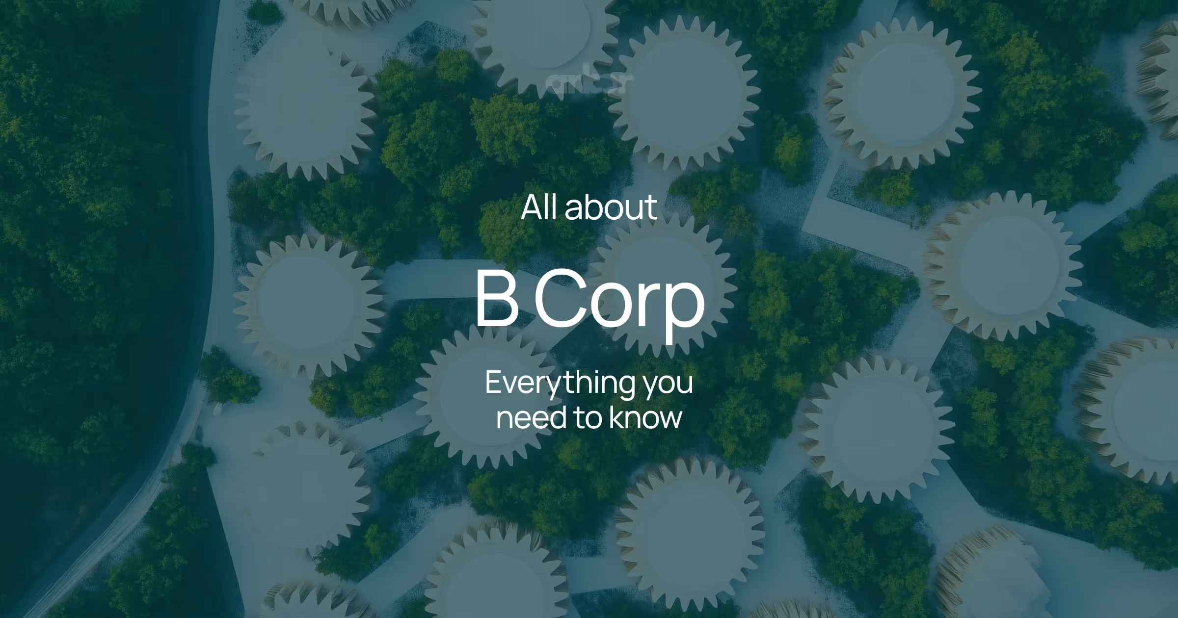The B Corp update for 2025 changes everything. This guide breaks down the new mandatory standards, from foundational rules to the seven Impact Topics.