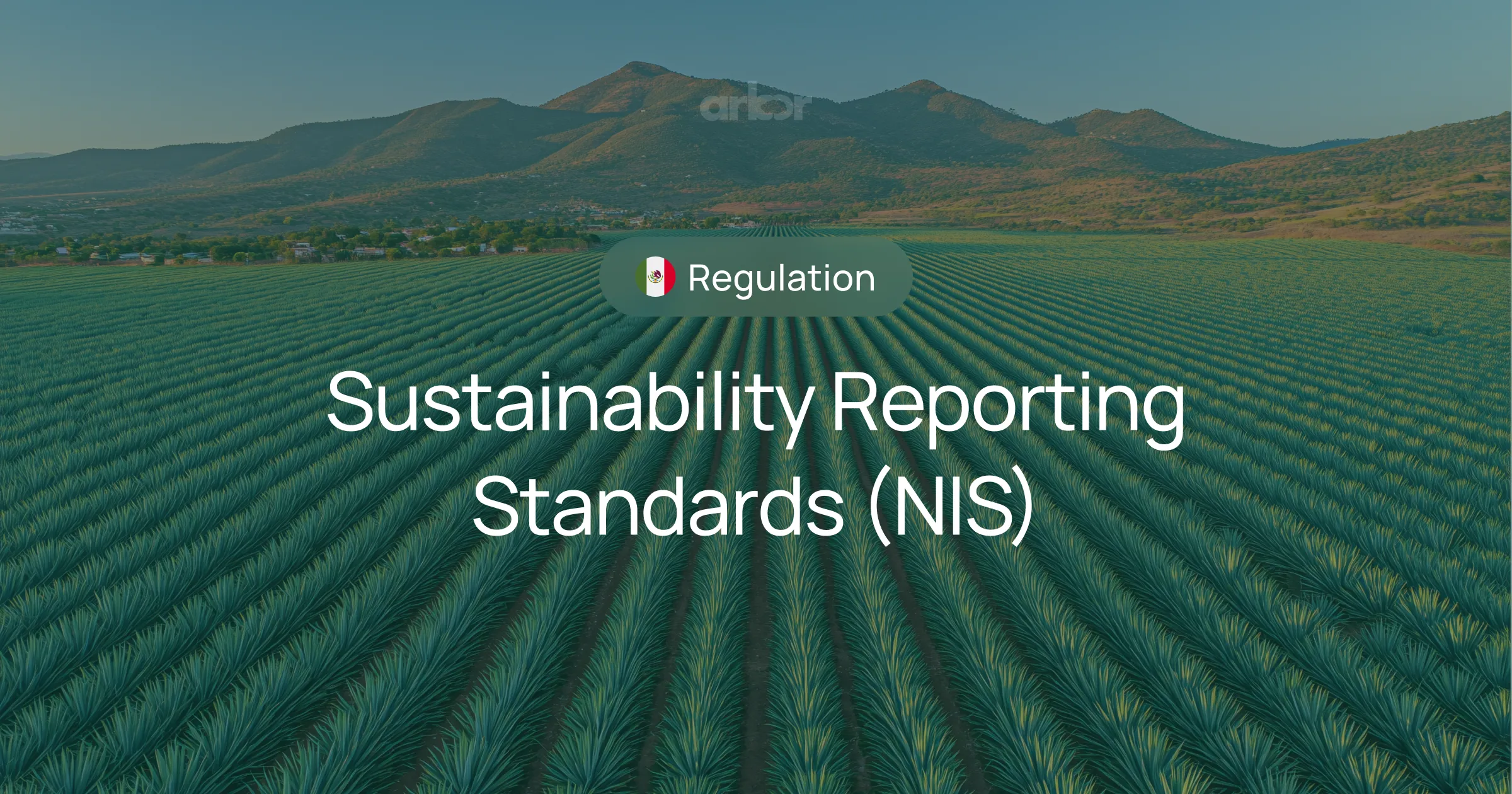 Get ready for Mexico's new sustainability reporting standards (NIS). Our guide covers requirements, deadlines, and how to comply. Learn more with Arbor.
