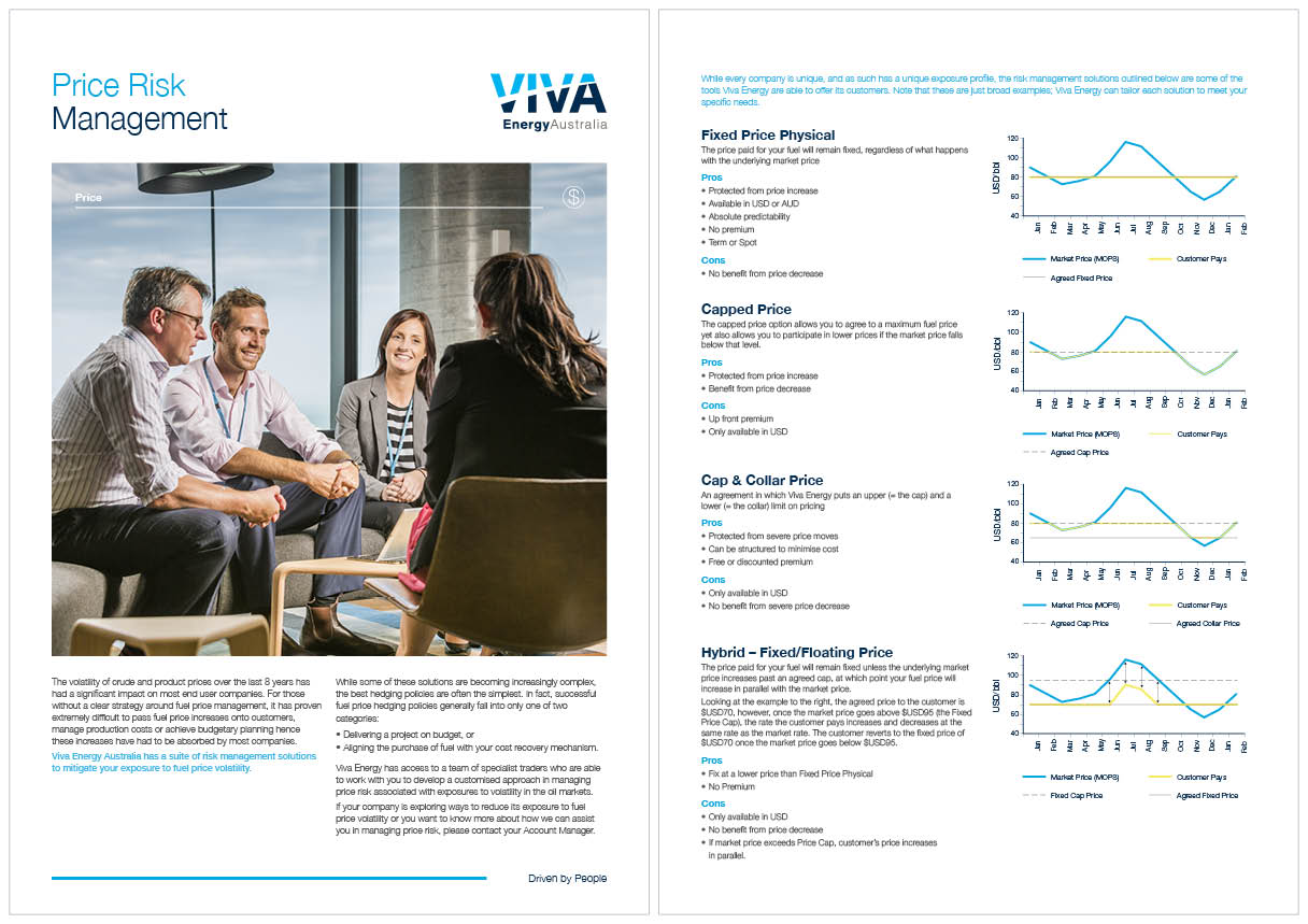 A price risk management flyer depicts a photo of people discussing in a meeting as well as text and includes infographics on a second page.