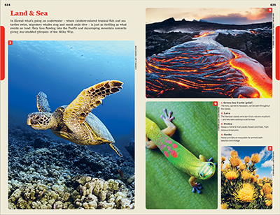 A page inside a Hawaiian travel book depicting text and some images of a turtle underwater, lava, a lizard and flowers.
