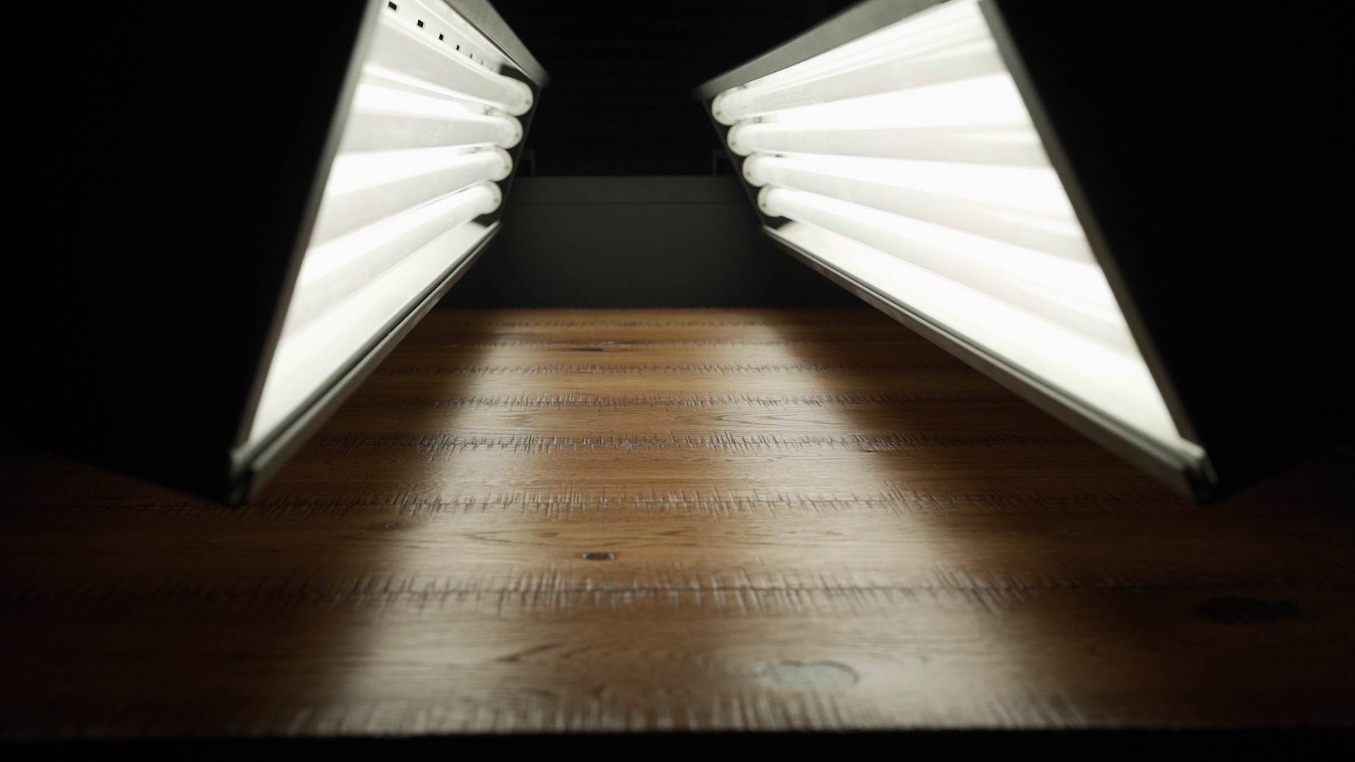 How Digital Assets Are Used in the Real World