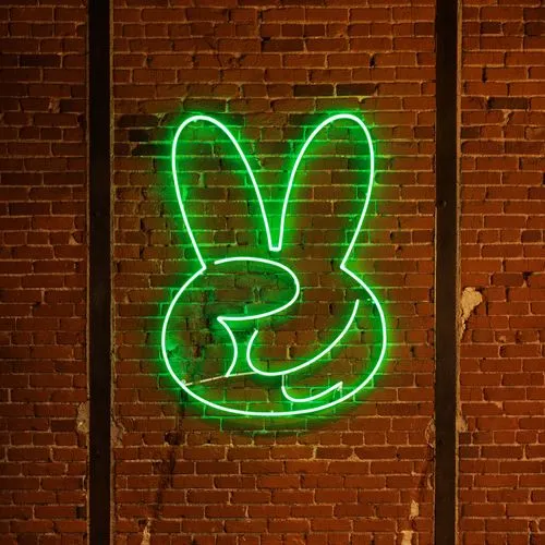 Top view of Salmon bowl