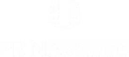 PRNewsWire Logo