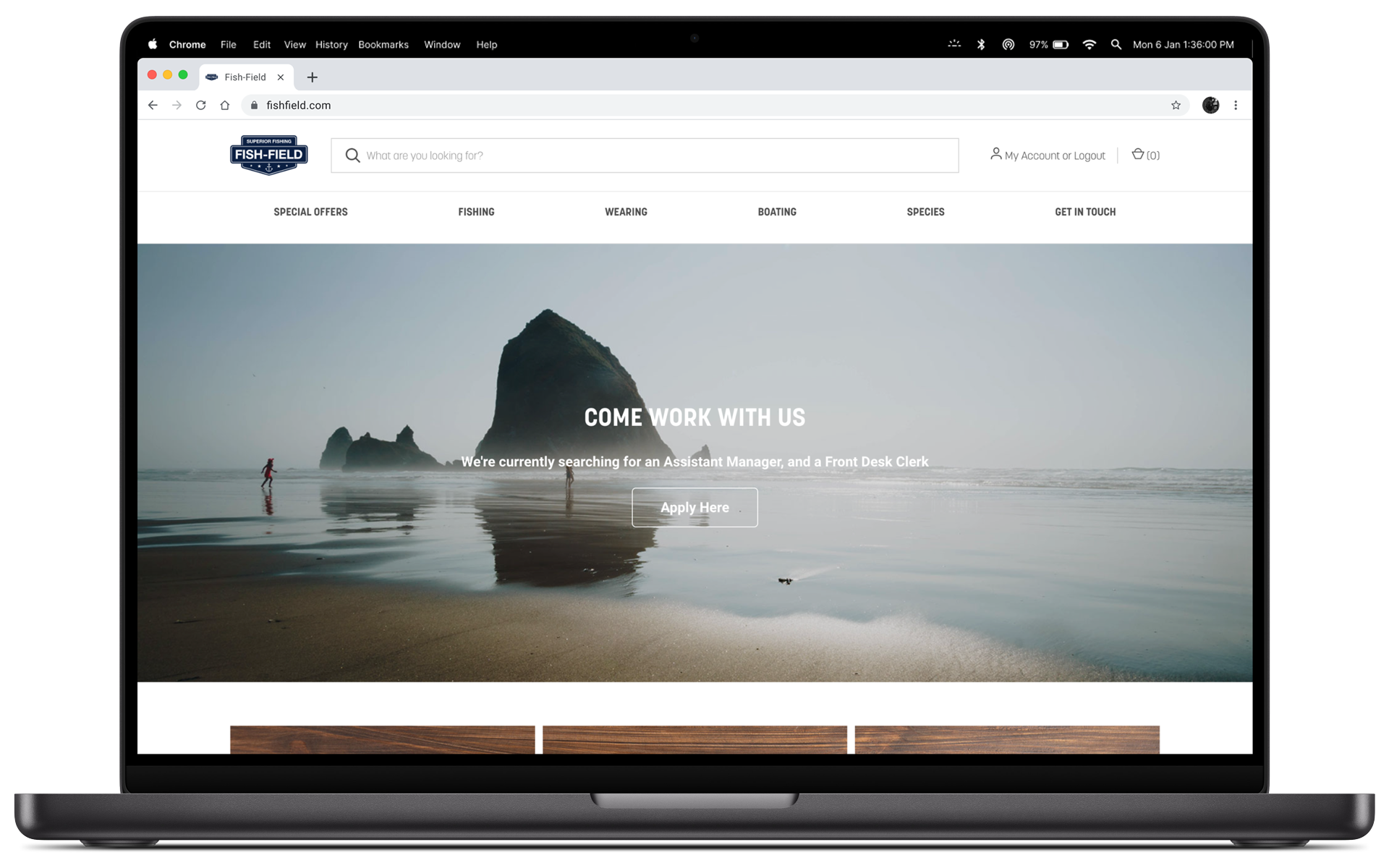 Fish-Field e-commerce redesign shown on a laptop.