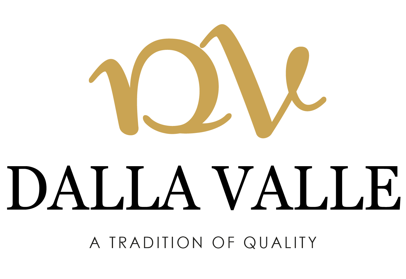 DV LOGO