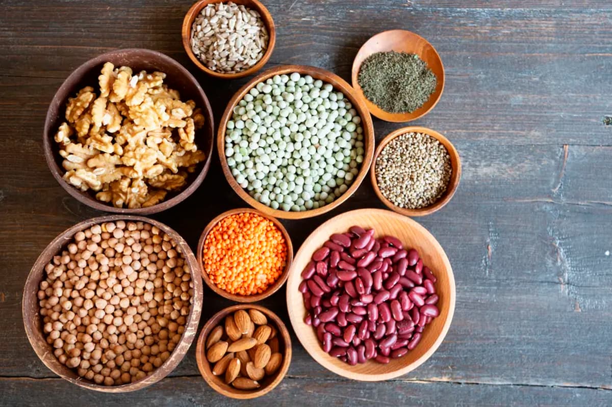 O que é proteína vegetal: benefícios e fontes para o seu corpo