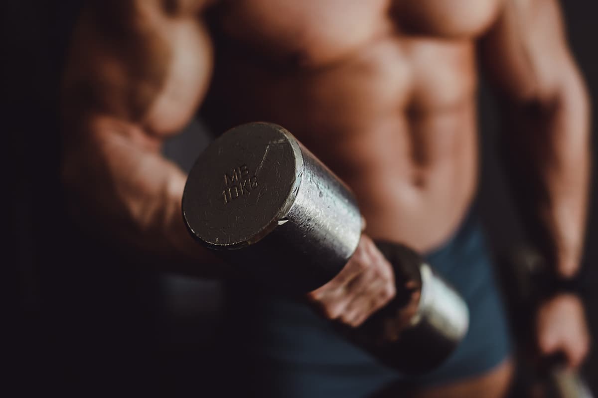 Síntese proteica: o que é e como a proteína estimula a construção muscular