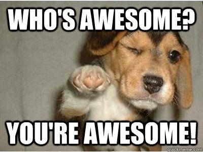 whos awesome youre awesome - Awesome Dog | Funny inspirational quotes, Funny motivational quotes, Good day quotes