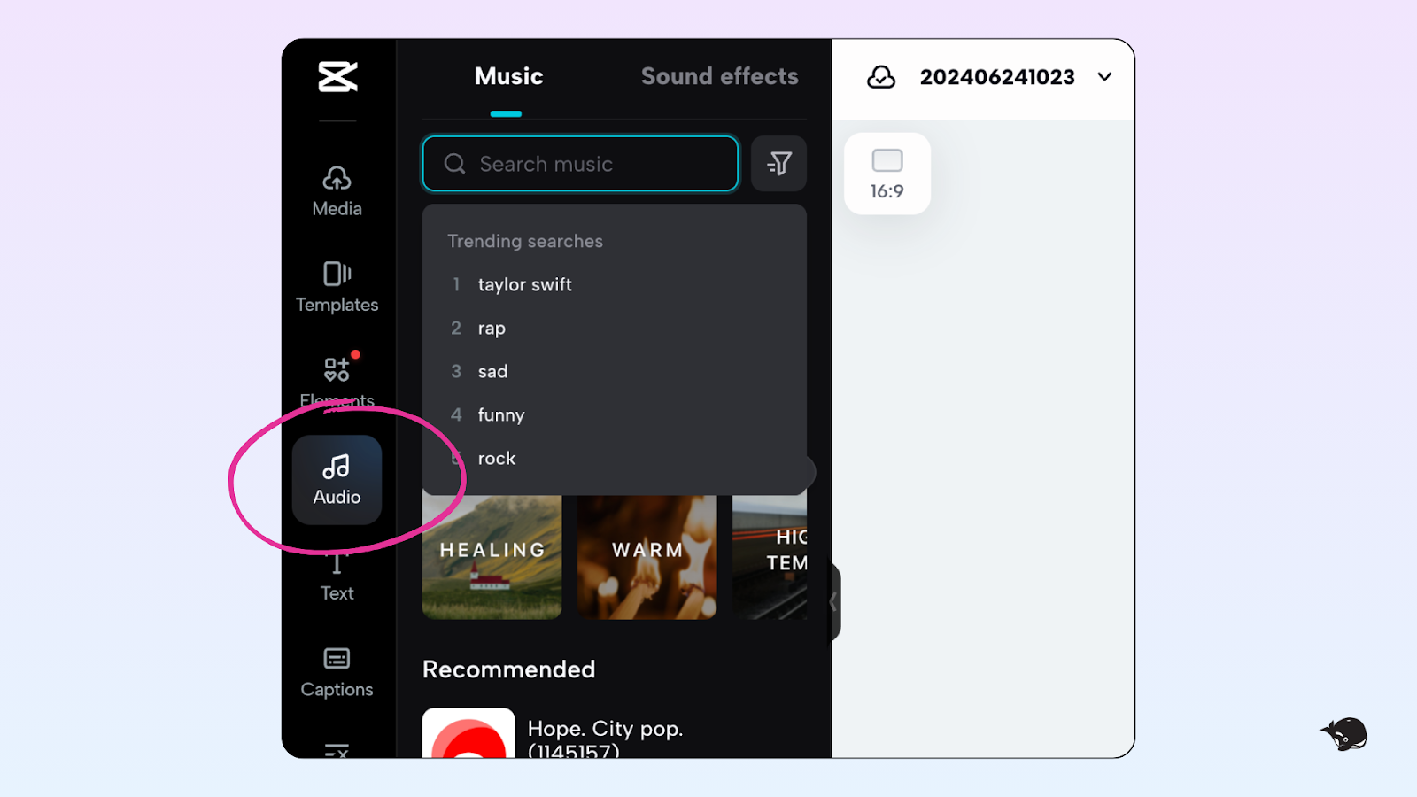 CapCut's "Audio" feature, which appears on the left of the editing screen, is circled by a pink circle.