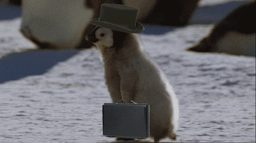 A penguin chick stands on snow, wearing a top hat and holding a briefcase. Other penguins are blurred in the background, creating a whimsical scene.