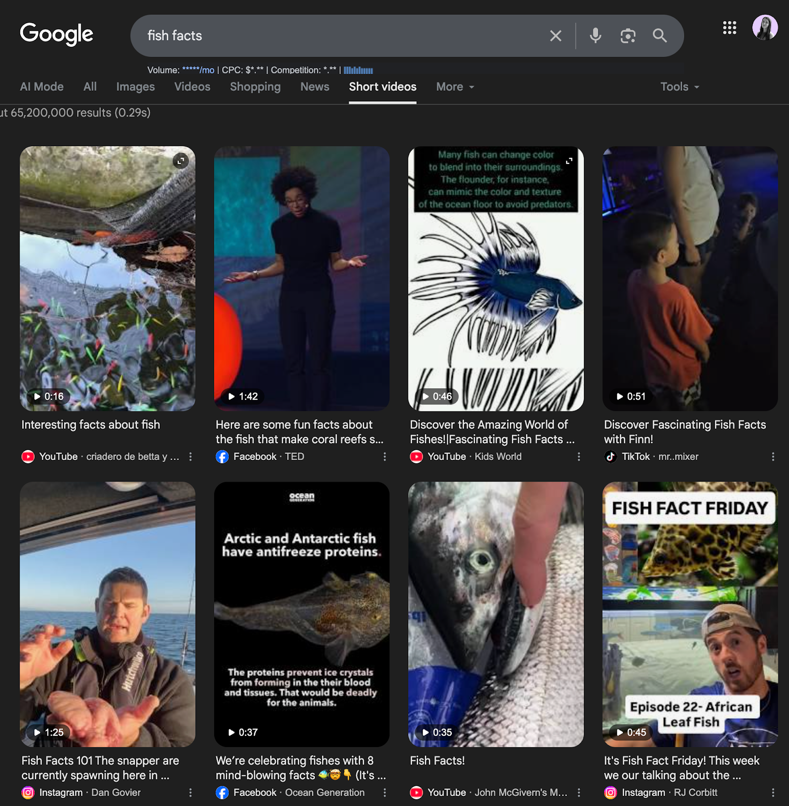A screenshot of a Google search results page displaying short videos related to "fish facts." The layout includes thumbnails of various videos featuring fish and marine themes, along with duration indicators and video titles. 
