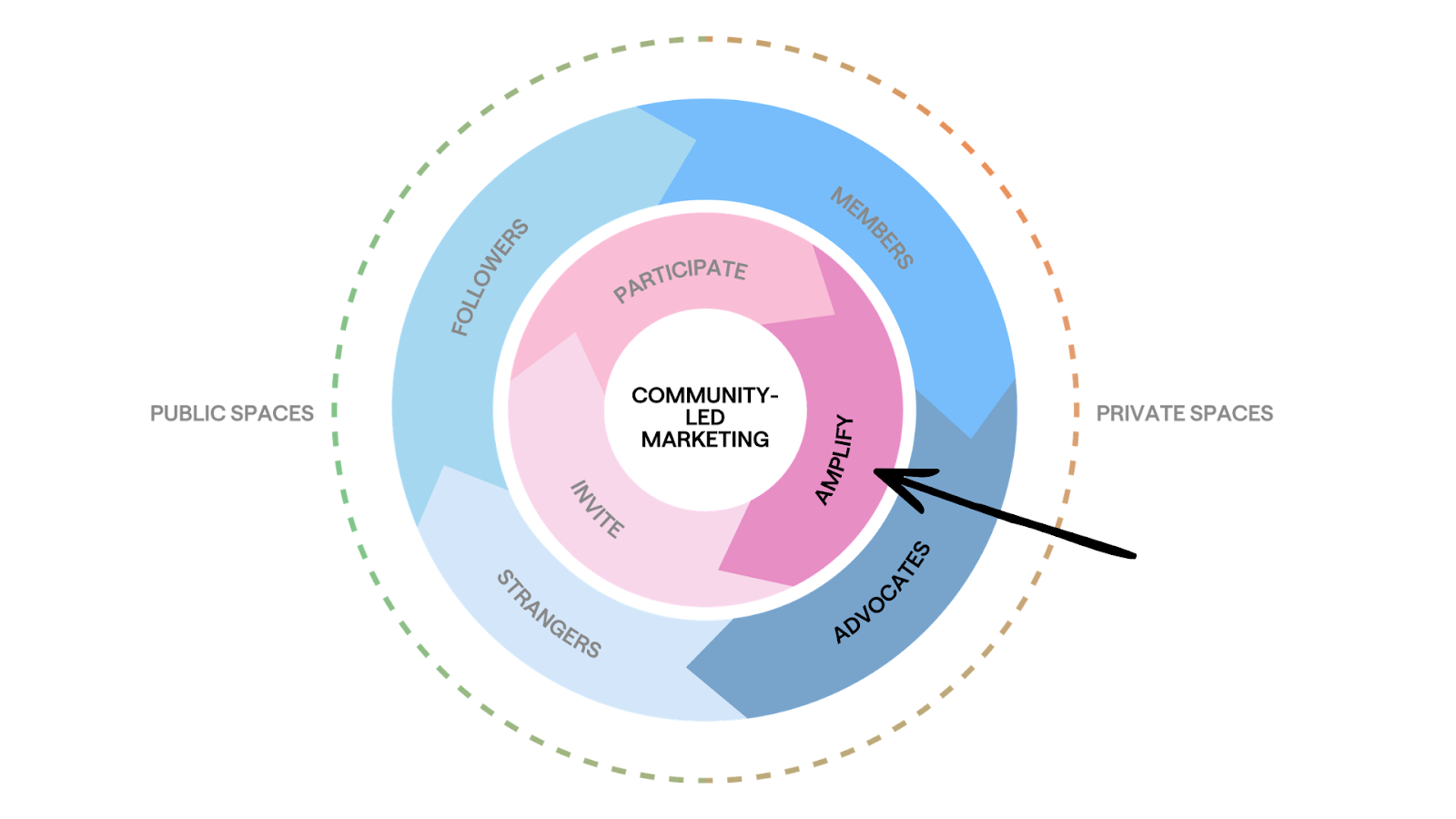 A circular diagram illustrating community-led marketing. The inner circle labelled 'Community-Led Marketing' is surrounded by phases: Invite, Participate, Collaborate, and Amplify. An arrow points towards 'amplify' in the inner circle.