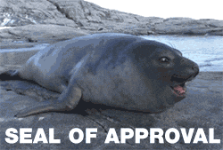 Image of a smiling seal lying on a coastal rock. The text overlay reads 'SEAL OF APPROVAL,' suggesting endorsement or agreement.