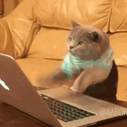 A grey cat wearing a white and blue striped shirt types furiously on a keyboard.
