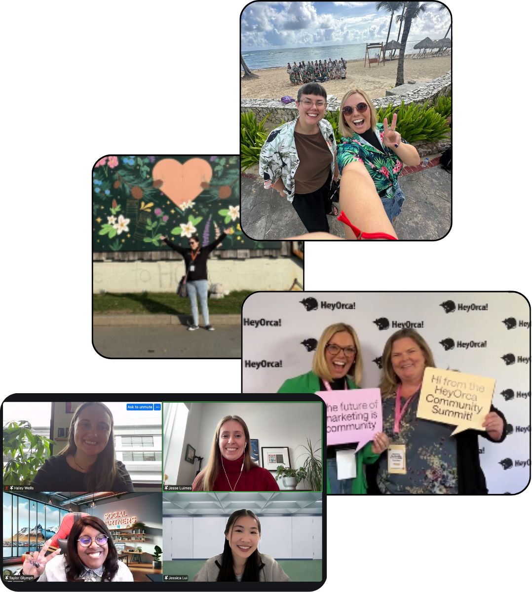 HeyOrca's content calendar set to a monthly view surrounded by Instagram posts and a line graph depicting Instagram analytics