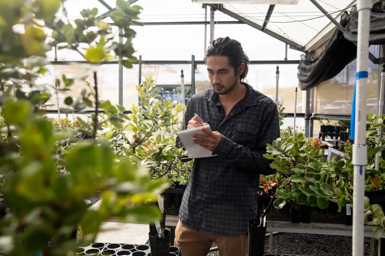 Kenjo in the greenhouse