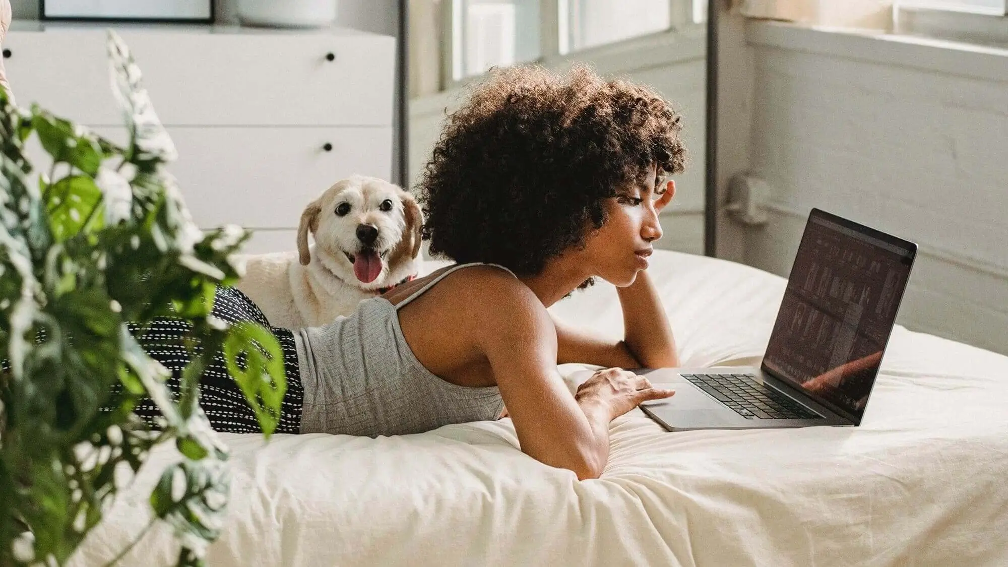 A woman sitting on a bed with a dog and a laptop.