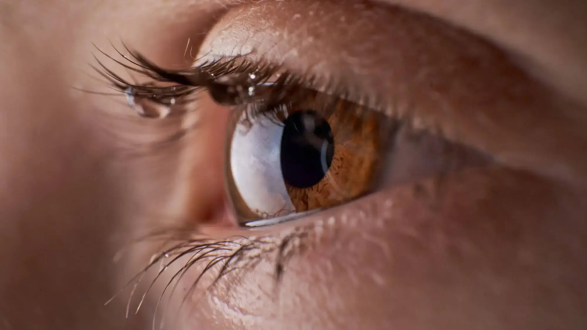 A close up of a person's eye with a brown iris.