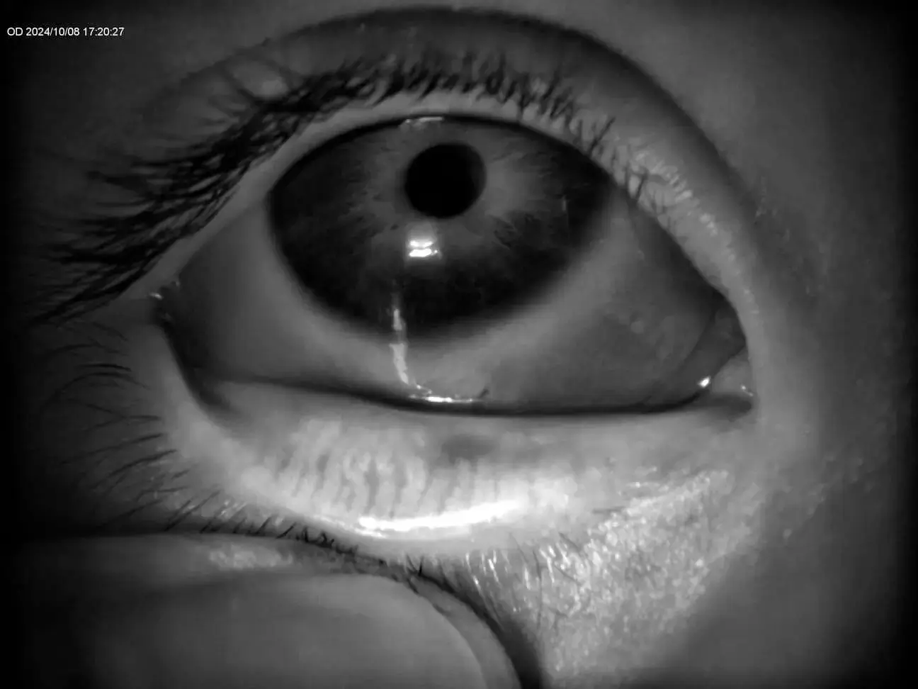 __wf_reserved_inherit