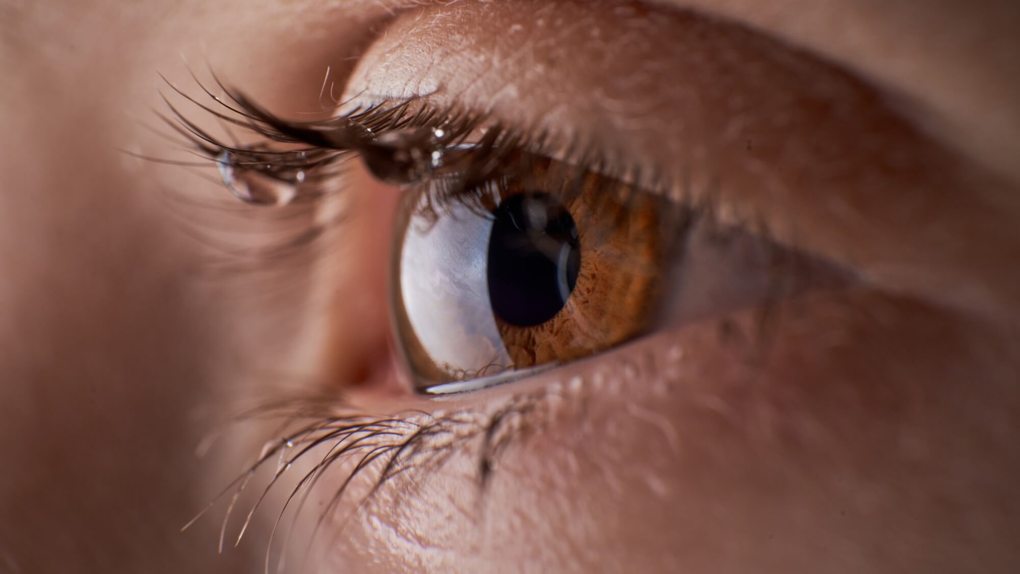 A close up of a person's eye with a brown iris.