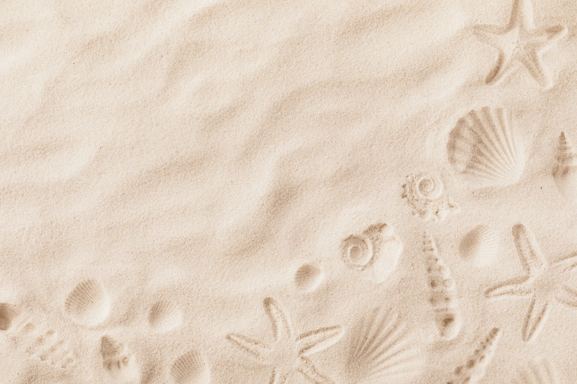 Beach sand detail