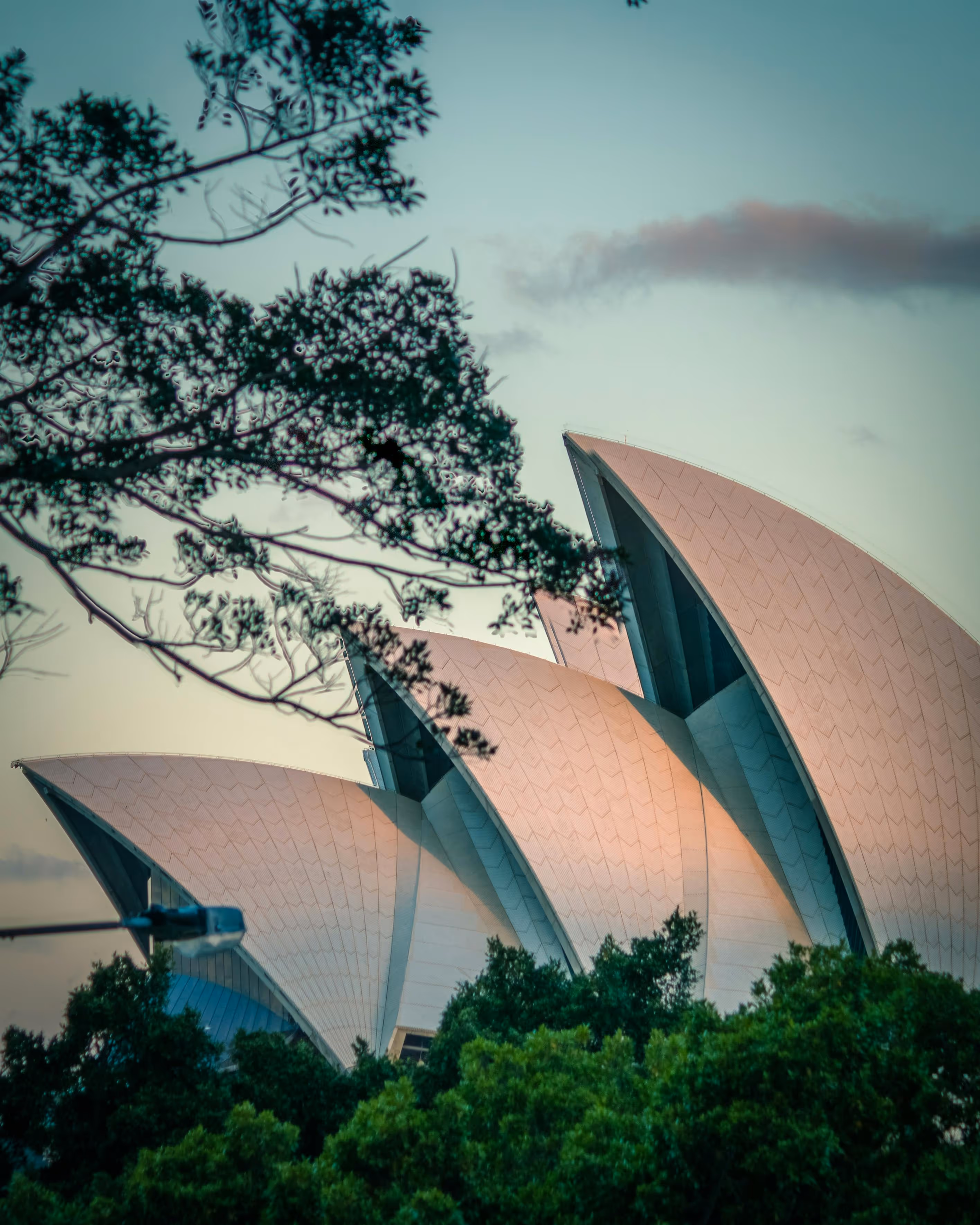 Sydney Opera House with its distinctive sail-like roof shells framed by green trees and branches at sunset.