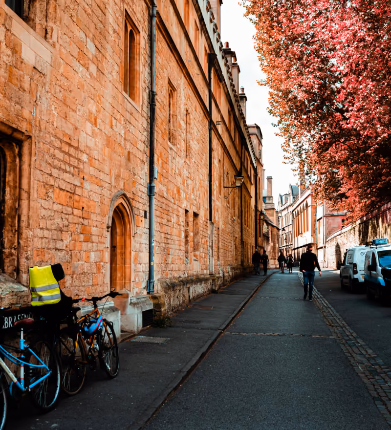 Street with brick buildings, bicycles, pedestrians, parked vans, and a tree with red leaves.